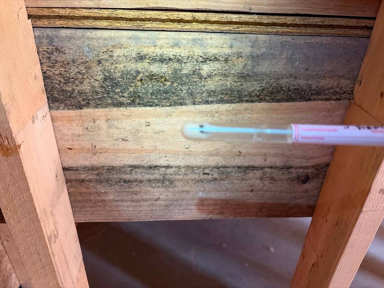 Mold inspector taking a swab sample