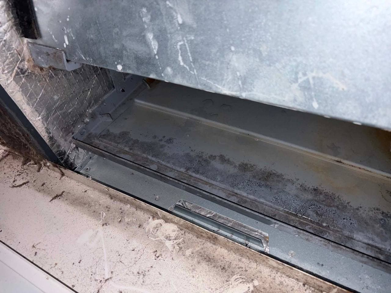 Mold growth in HVAC drip pan and insulation