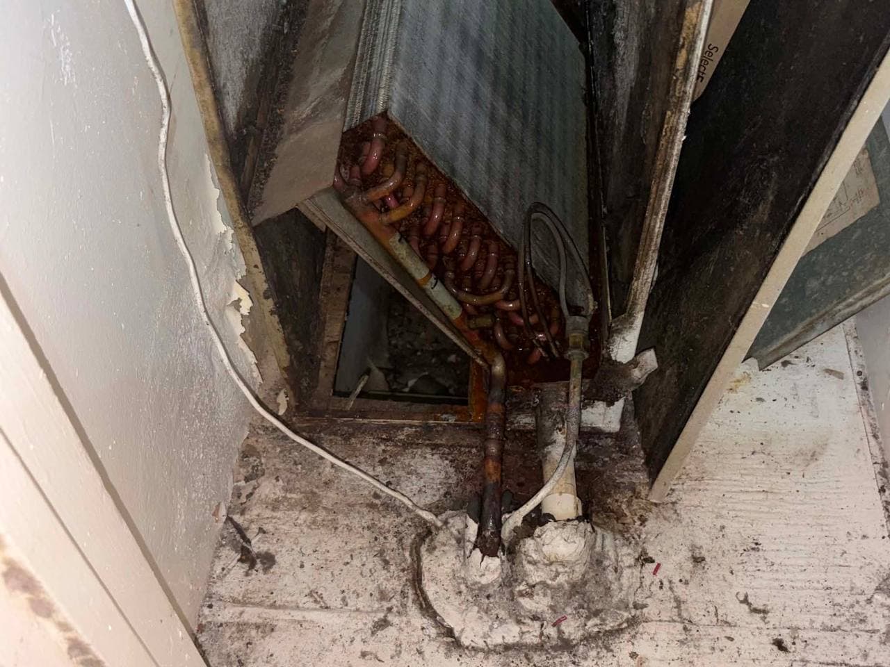 Mold and corrosion inside HVAC evaporator coils